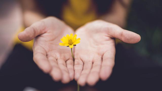 Ilustrasi Pengharapan