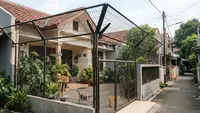 9 Desain Pagar Pekarangan yang Aman untuk Kucing agar Tidak Mudah Keluar