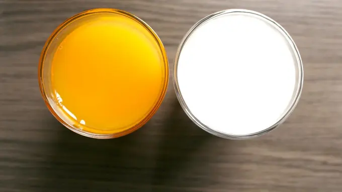 [Bintang] Kerap Jadi Menu Sarapan, Lebih Sehat Jus Jeruk Atau Susu?