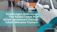 Bantuan PLN untuk korban tsunami Anyer. Instagram PLN