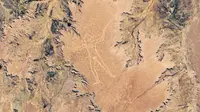 Geoglif Marree Man di pedalaman Australia. (NASA)