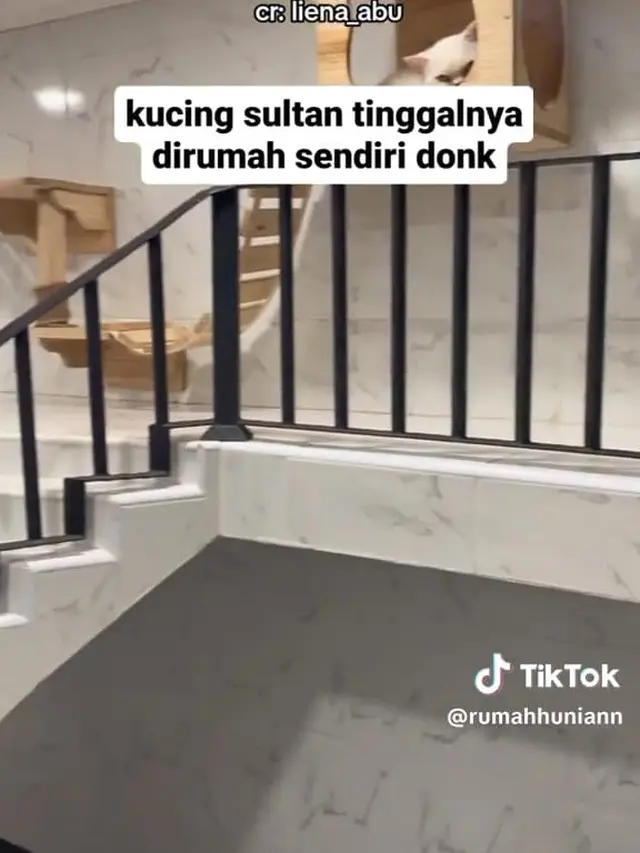 Rumah Kucing Bak Istana Sultan