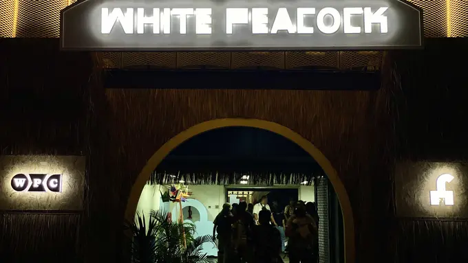 White Peacock Joyland Festival 2024