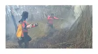 Proses pemadaman kebakaran di TN Way Kambas. Foto (Dokumentasi TN Way Kambas)