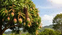 8 Jenis Pohon Buah yang Disukai Lebah Madu untuk Ternak Alami