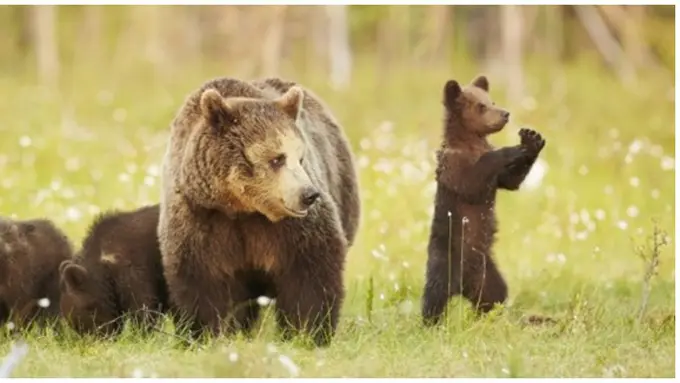 courtesy of metro.co.uk