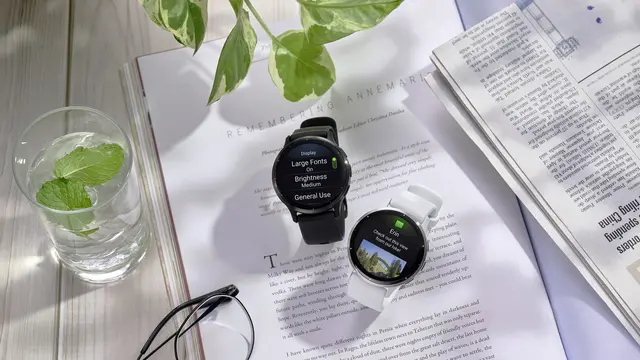 Garmin Venu 3 (Garmin)