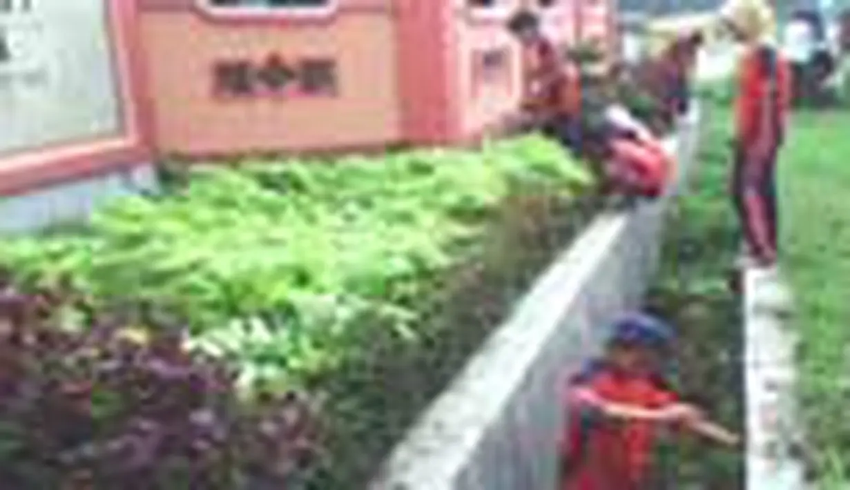 liputan6