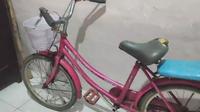 Sepeda kayuh berwarna pink saksi bisu kasus pembunuhan disertai pemerkosaan CNA 7 Tahun di Desa Kalibarumanis , Banyuwangi (Istimewa)