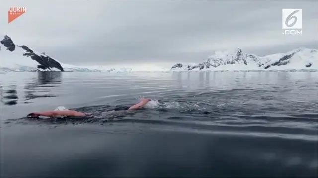 Seorang wanita tantang dirinya berenang di jalur mematikan “Ice Mile”, Laut Antartika.