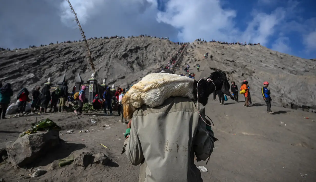 Masyarakat Tengger pada saat itu beramai-ramai menuju Gunung Bromo untuk mengantarkan sesaji berupa hasil ternak dan pertanian ke Pura Luhur Poten Agung. (Photo by Juni Kriswanto / AFP)