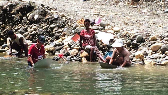 Emas Dan Keajaiban Tanah Papua Regional Liputan6 Com