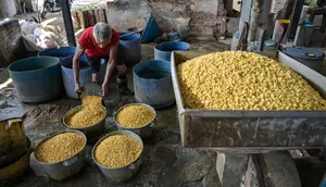Perajin Tahu Tempe Keluhkan Beban Biaya Produksi Naik