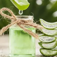 Anda bisa mengolah aloe vera atau lidah buaya menjadi air detoksifikasi. (Foto: iStockphoto)