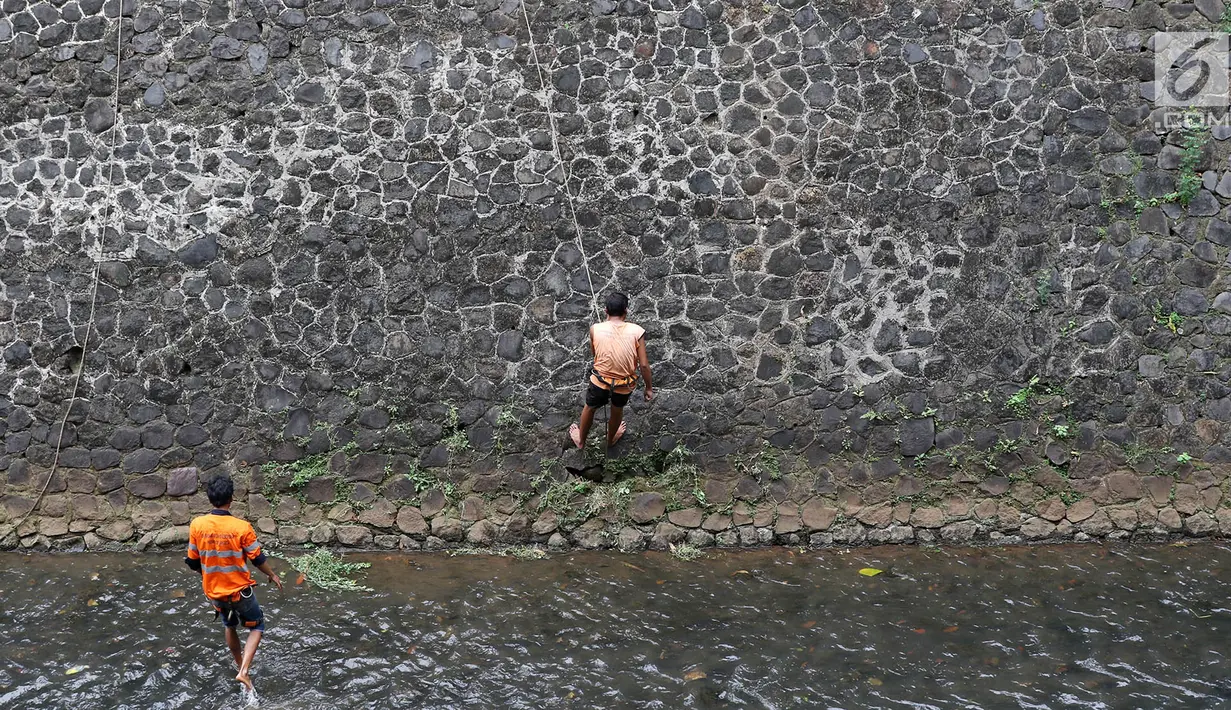 Petugas UPK Badan Air Dinas Kebersihan DKI Jakarta membersihkan rumput liar di sepanjang turap Kali Baru, Jakarta, Selasa (18/7). Kegiatan rutin tersebut merupakan upaya menjaga kebersihan sungai di Ibu Kota. (Liputan6.com/Immanuel Antonius)