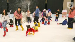 Pengunjung bermain wahana salju pada ICEFEST 2019 di BSD Tangerang, Kamis (19/12/2019). ICEFEST 2019 hadir mengangkat kisah persahabatan ILO dan Aiden di desa Happy Village yang diharap dapat memberikan edukasi yang dikemas dengan hiburan kepada anak-anak. (Liputan6.com/Fery Pradolo)