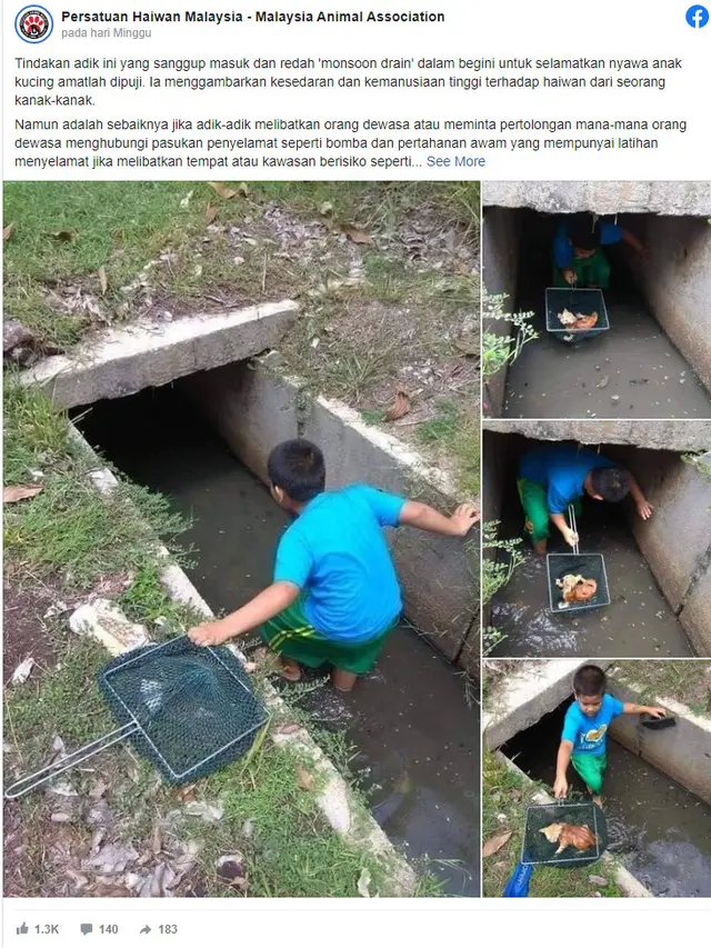Viral, Aksi Heroik Bocah Nekat Masuk Got untuk Selamatkan Nyawa Anak Kucing