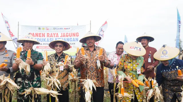Panen Raya Jagung di Grobogan, Nana Sudjana Serukan Semangat Menuju Swasembada Pangan