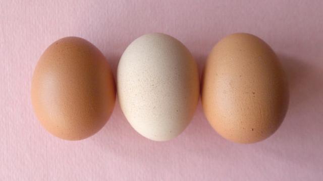 Ilustrasi telur rebus