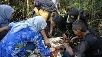 Petugas KKI WARSI melakukan penghitungan kadar karbon di kawasan Hutan Lindung Gambut Sungai Buluh, Kabupaten Tanjabtim, Jambi. (Liputan6.com/B Santoso)