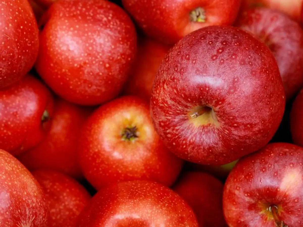 Manfaat Apel untuk Pencernaan, Cegah Sembelit dan Sehatkan Usus