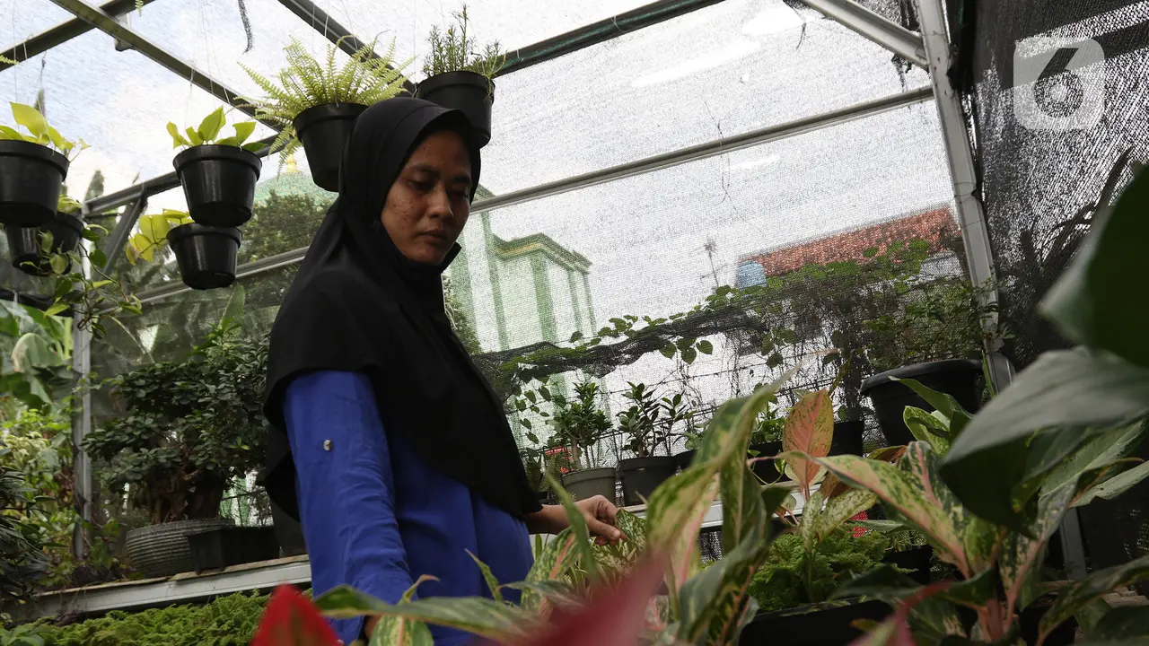 Penjualan Tanaman Hias Meningkat 50 Persen