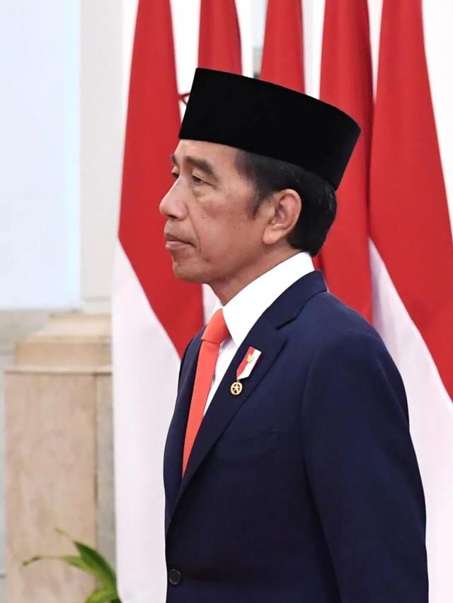 Presiden Jokowi. (Foto: Dok. Instagram @jokowi)