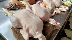 Curhat Pedagang Ayam Soal Harga Daging Masih Tinggi