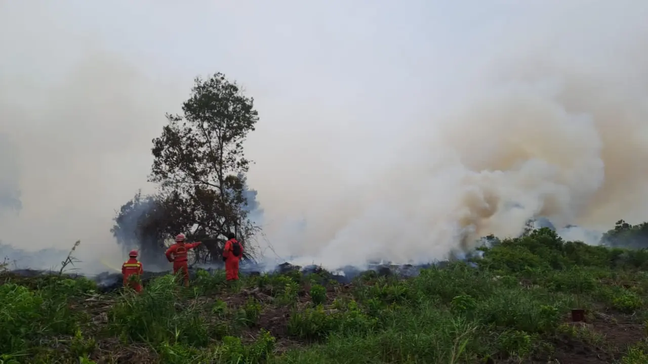 Personel Manggala Agni berjibaku memadamkan kebakaran lahan di Riau.