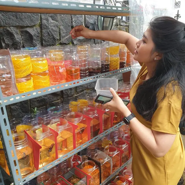 Diary Fimela: Menilik Hobi Jadi Rejeki dari Bisnis Cupang di Masa Pandemi