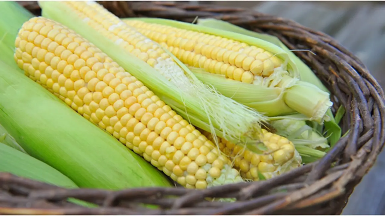 Courtesy ShutterStock.com