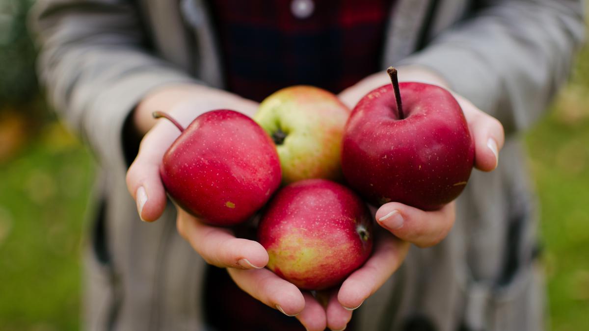 7 Tips Jitu Memilih Buah Matang Tanpa Perlu Menekan atau Menebak-nebak
