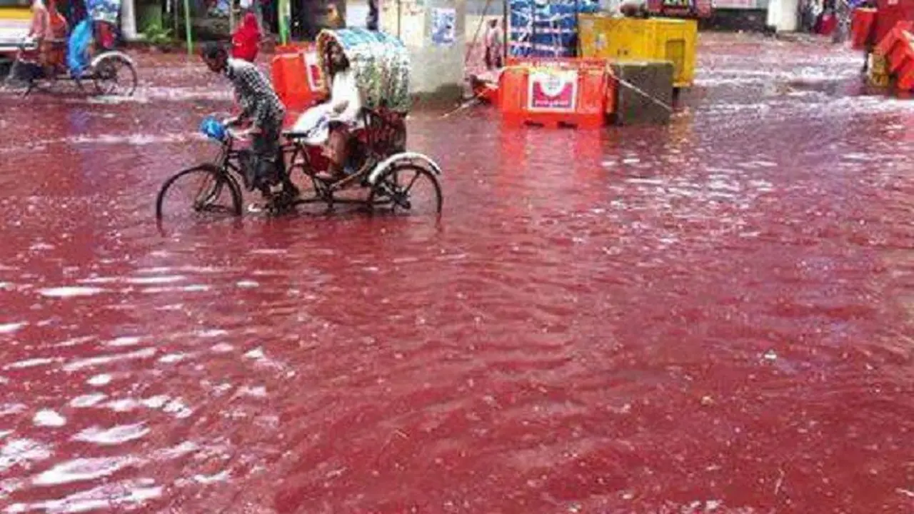 Air banjir di Bangladesh berwarna merah setelah bercampur dengan darah hewan kurban 