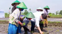 Menteri Koordinator Bidang Perekonomian Airlangga Hartarto mengunjungi lahan pertanian di Klaten, Jawa Tengah untuk melihat penerapan konsep farming yang diterapkan, Jumat (24/09/2021) (Foto: Kementerian Ekonomi)