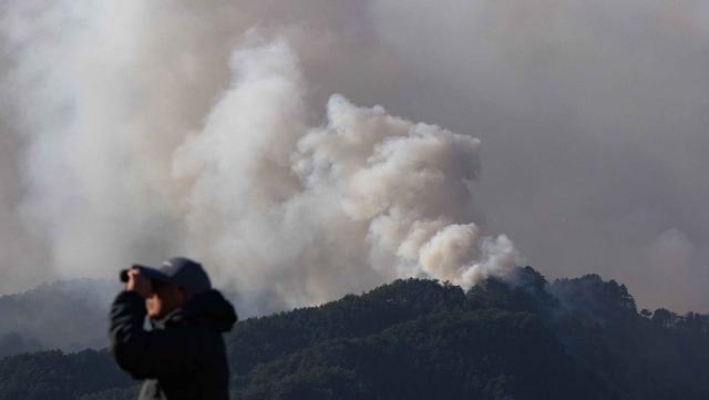 Kebakaran Hutan Hebat Landa Jepang, Ribuan Orang Dievakuasi