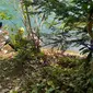 Ridwan Kamil di tepi sungai Aare, Swiss. (Foto: Dok. https://kemlu.go.id/bern/id/news/19163/siaran-pers-perkembangan-proses-pencarian-wni-hilang-atas-nama-emmeril-kahn-mumtadz-as-of-3-juni-2022-1900-cet#lg=1&slide=1)