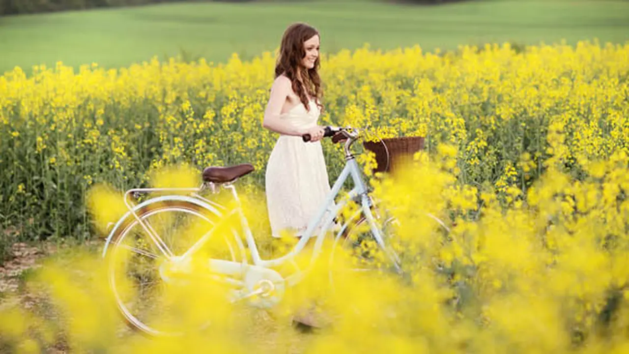 Foto: copyright Shutterstock.com