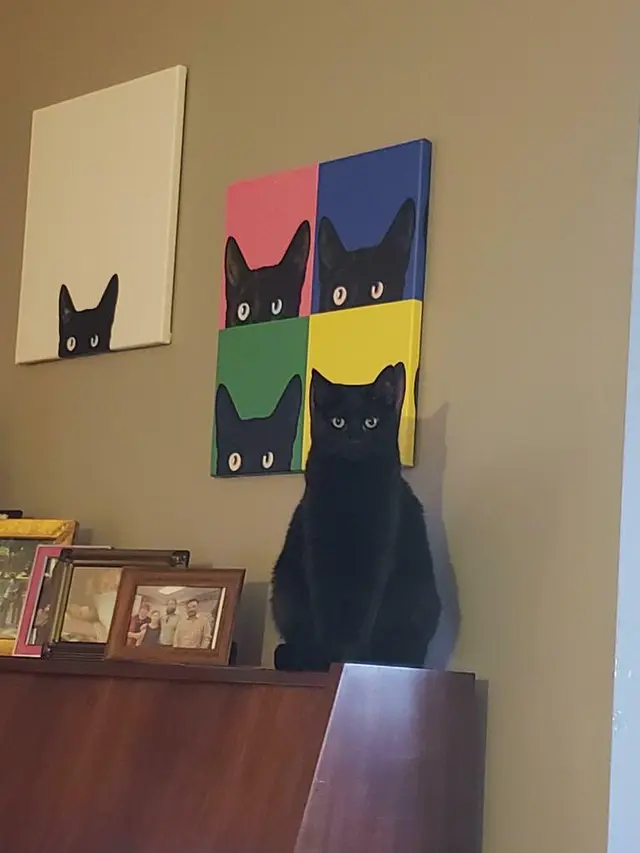 7 Momen Tepat Saat Mengambil Foto Kucing Ini Hasilnya Kocak
