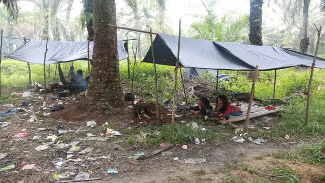 Lahan Sawit Renggut Kebahagiaan Penduduk Asli
