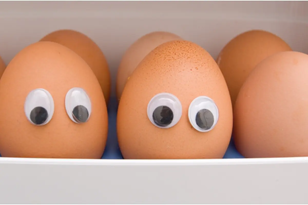 Courtesy ShutterStock.com