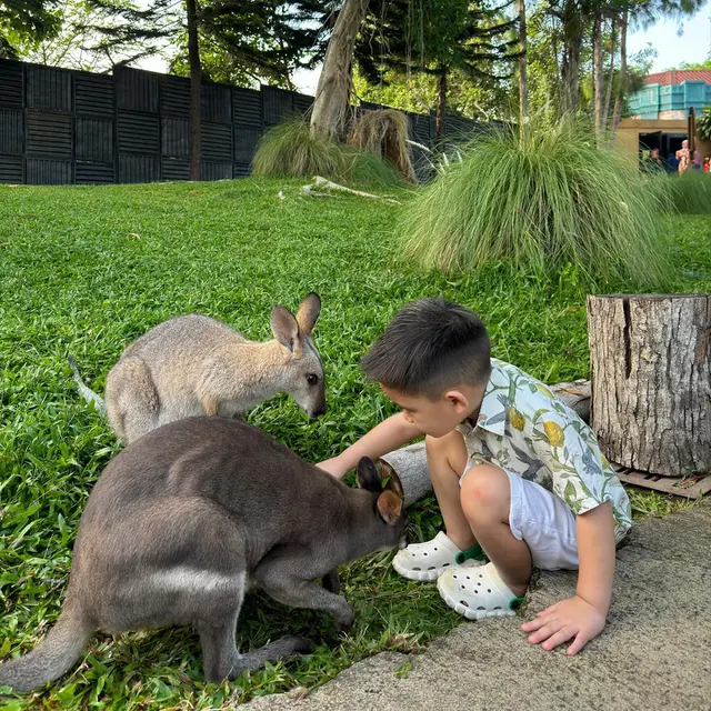 7 Potret Citra Kirana dan Keluarga di Taman Safari, Sarapan Bareng Jerapah