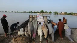 Sekitar 100.000 orang telah dievakuasi dari desa-desa yang banjir di provinsi Punjab Pakistan, kata layanan darurat. (AFP/Shahid Saeed Mirza)