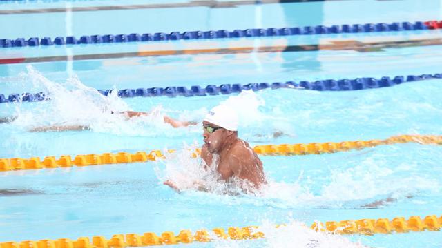 Renang SEA Games 2025