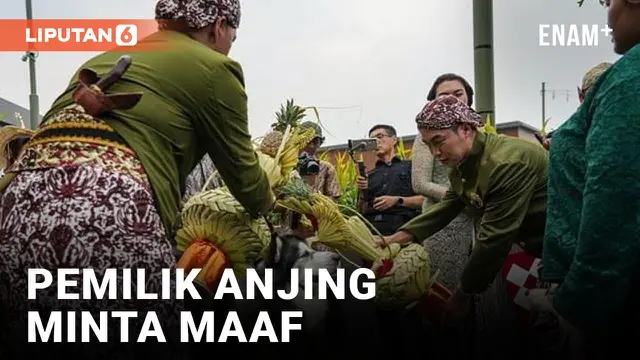 Pemilik Jojo-Luna Minta Maaf Atas Pernikahan Anjing yang Memakai Adat Jawa