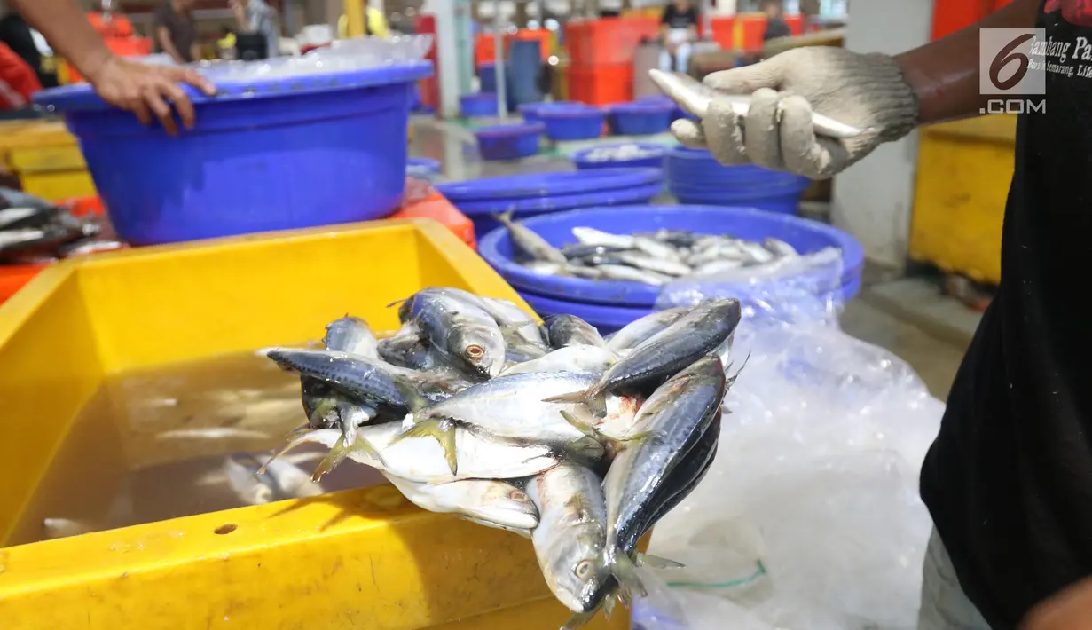 Pedagang mengecek ikan di Pelelangan ikan Muara Baru, Jakarta, Sabtu (6/7/2019). Angka ini mengalami kenaikan 24% dibandingkan periode yang sama tahun lalu yang hanya mencapai Rp32 triliun. (Liputan6.com/Angga Yuniar)