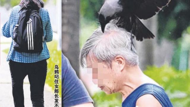 Penyerangan Burung Gagak