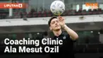 Mesut Ozil