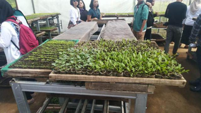 The Learning Farm
