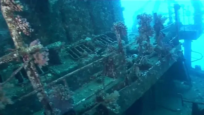 Bintang 5: Bangkai Kapal, Taman Nasional, Fenomena Ajaib