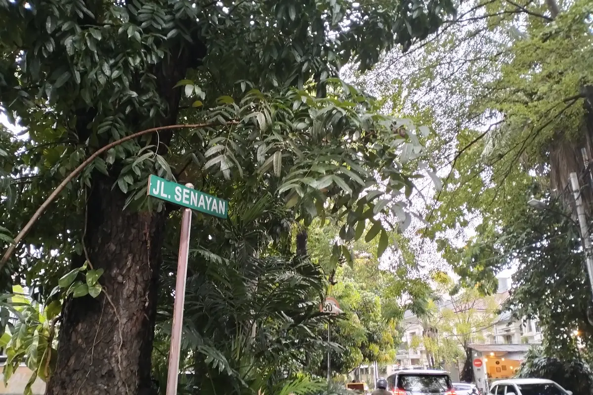Makam Kucing di Sudut Senayan, Jejak Kepedulian Penyayang Hewan